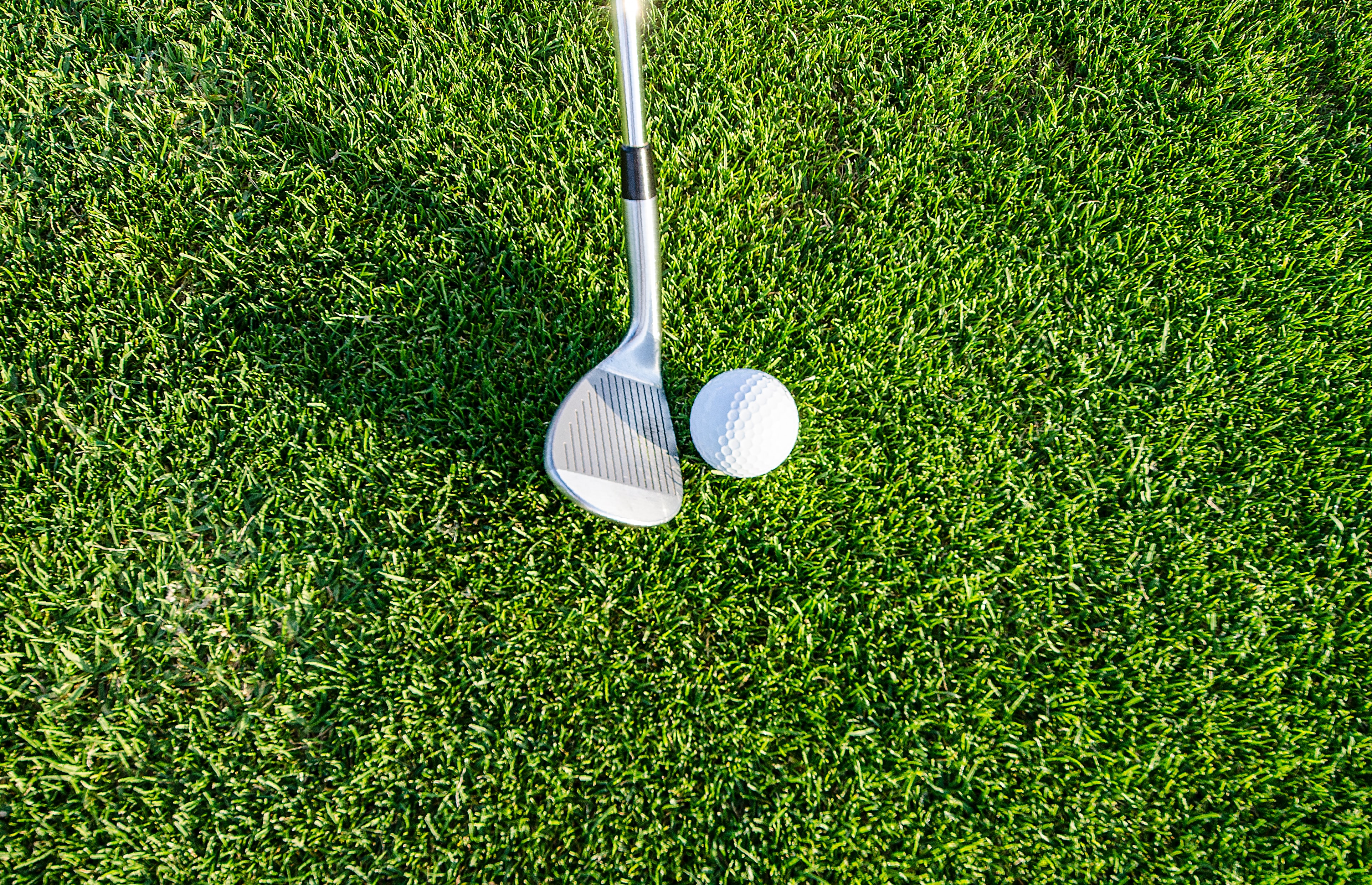Which Golf Ball Is Best for You?